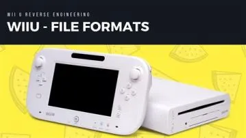 What file format does wii model use?