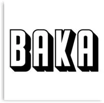 Is baka the f word?