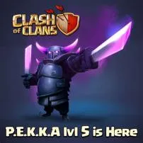 Is the p.e.k.k.a good?