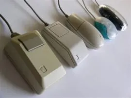 How old is the first mouse?