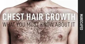 Does chest hair mean more testosterone?