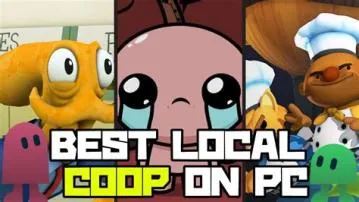 How does local co-op work on pc?