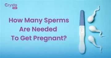 How many drops of sperm is needed to get pregnant?