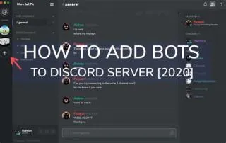 How to get a bot server?