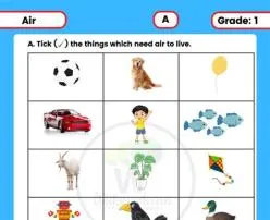 What is air grade 1?