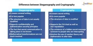 Is cryptography better than steganography?