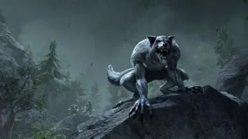 What are the disadvantages of being a werewolf in eso?