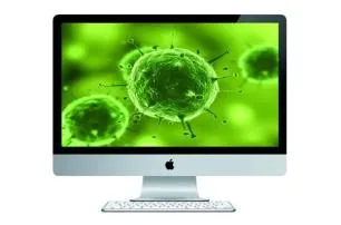 Why do macs get less viruses?