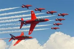 What do the red arrows do?