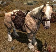 Is frost the best horse in skyrim?