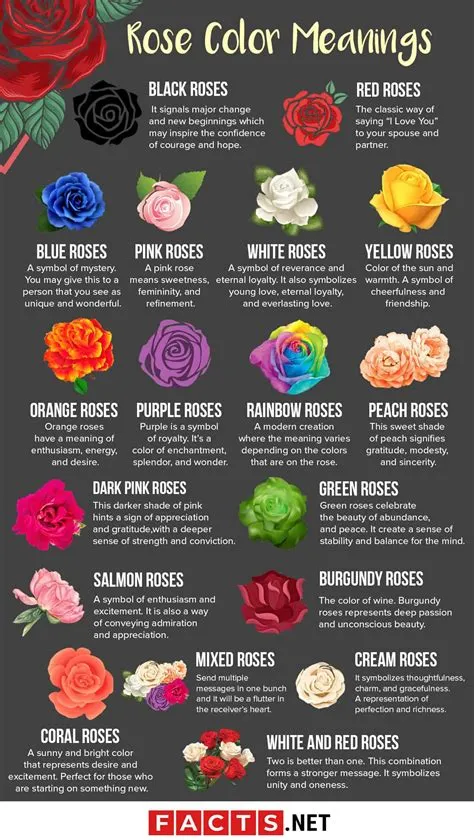 light pink roses meaning