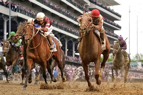 What bet pays the most in horse racing