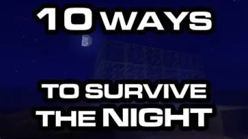 Can you survive a night in minecraft?