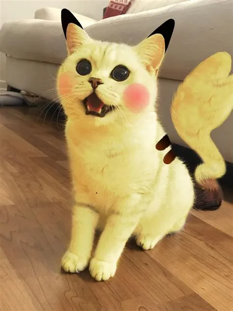 Is a pikachu a cat