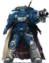 Can space marines shoot twice?