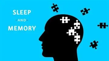 How much sleep is enough for memory?