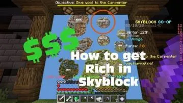 How rich is the owner of hypixel?