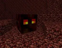 Do mobs killed by magma drop xp?
