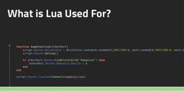 Why is lua used so much?