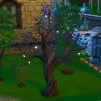 Where can i find plasma fruit in sims 4?