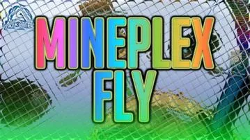 Can you fly in mineplex?