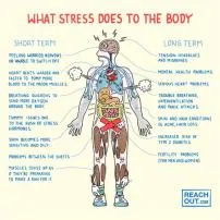 Can stress affect iq?