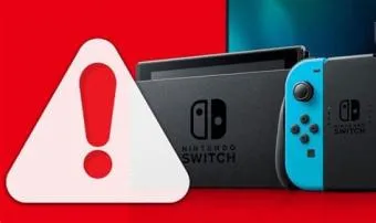 What is the nintendo warning to switch owners?