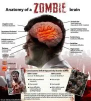 What part of the body do zombies eat?