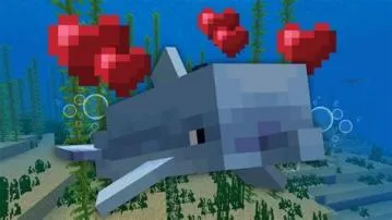 Do dolphins eat in minecraft?