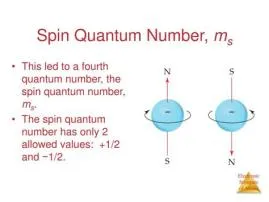 What are the possible spin numbers?