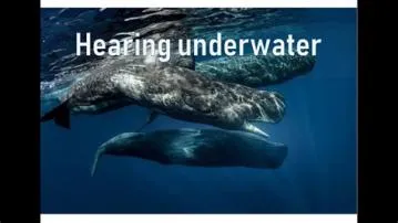 Why cant we hear underwater?