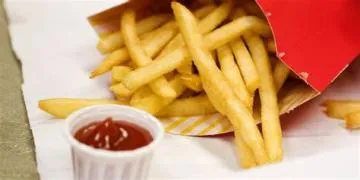 Is mcdonalds usa fries halal?