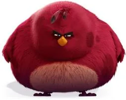 Is terence from angry birds a girl?