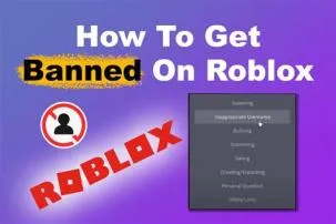 Does roblox ban reshade?