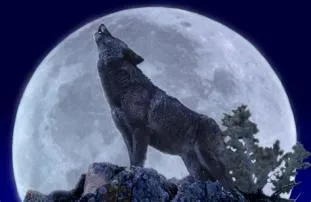 What is a wolf moon?