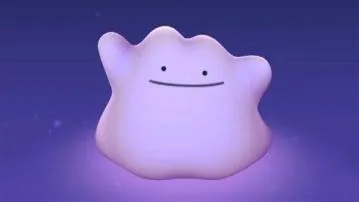 Where is ditto hiding?