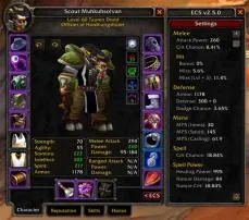 How to see wow stats?