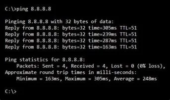 What does ping 8.8 8.8 t mean?