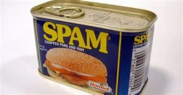 What does the s in spam stand for?