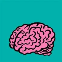 What can i gift to keep my brain active?