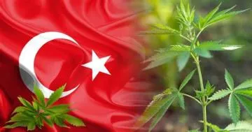 Is marijuanas legal in turkey?