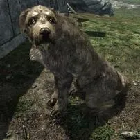Can you have 2 dogs in skyrim?
