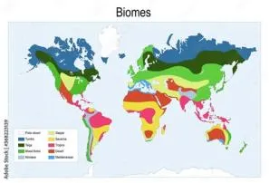 What biome covers 20 percent of the earth?