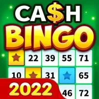 How do bingo games make money?