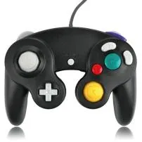 Can you plug in a gamecube controller to the black wii?