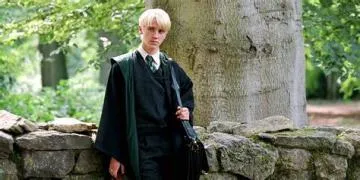 Did draco marry a pure blood?