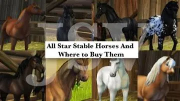 Can you sell star stable horses?