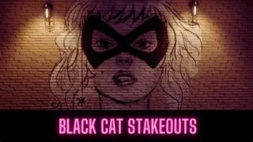 What happens when you complete all black cat stakeouts?