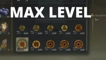What is the max level in elden ring easy?