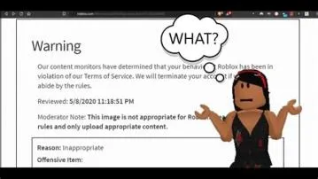 Why did i get a warning on roblox for no reason?